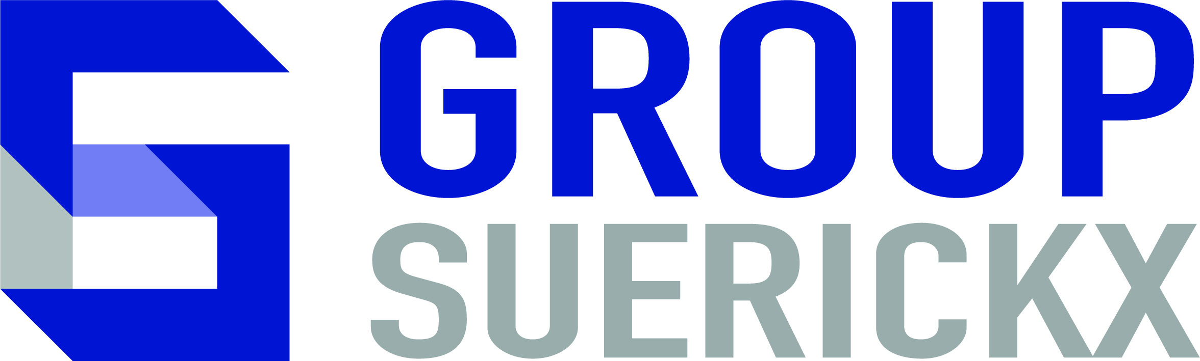 Logo-Group-Suerickx-B_lightG